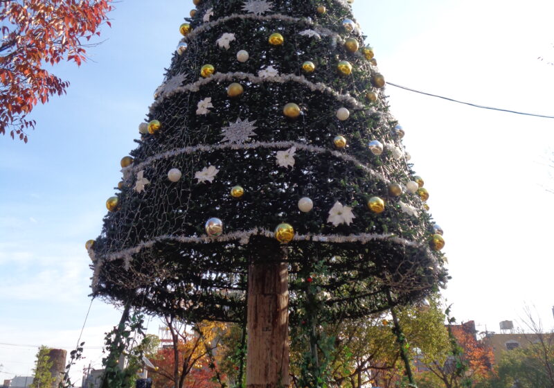 大きなクリスマスツリー！ライトアップも見たいねー。