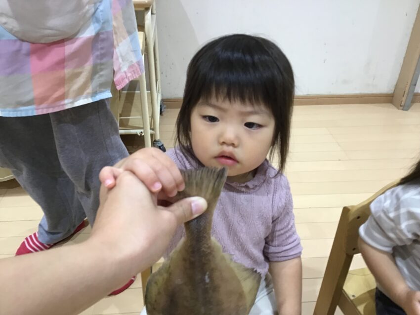 そーっと・・・🐟　<br />
そーっと・・・🐟