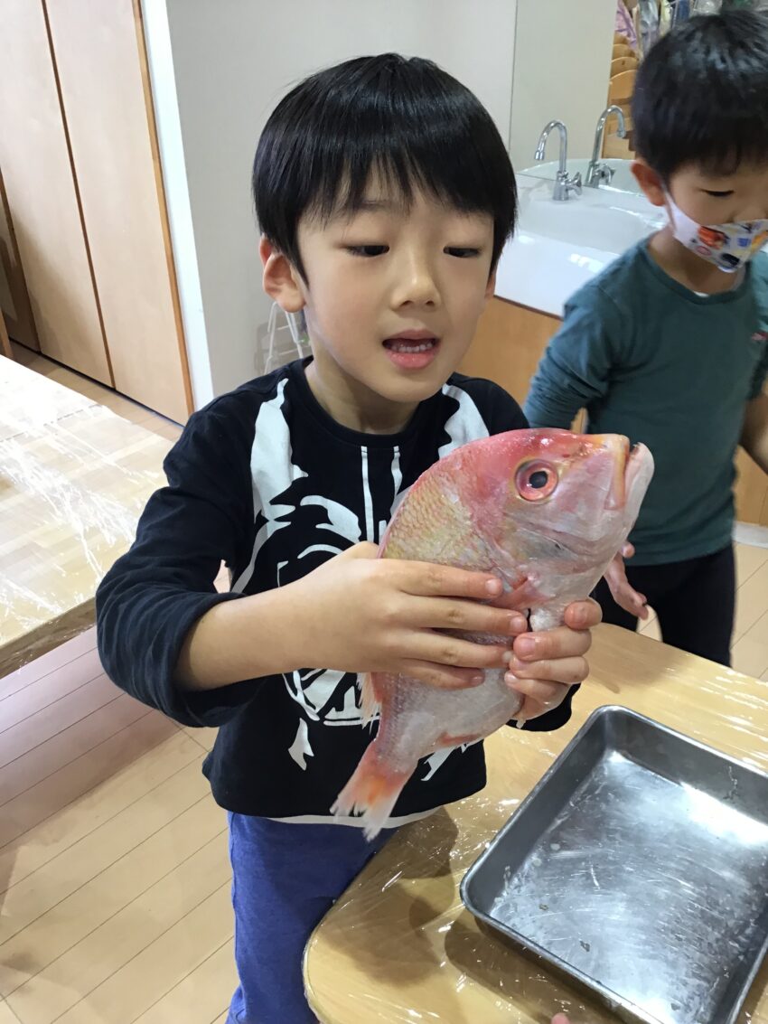 レンコ鯛、重い🐟