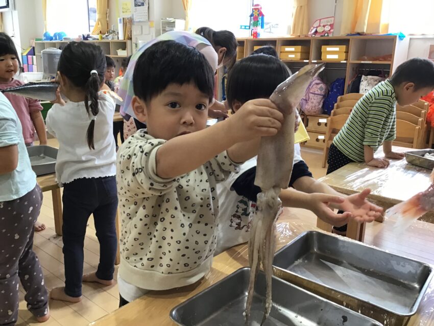 いかってヌルヌルするんだね・・・・💦