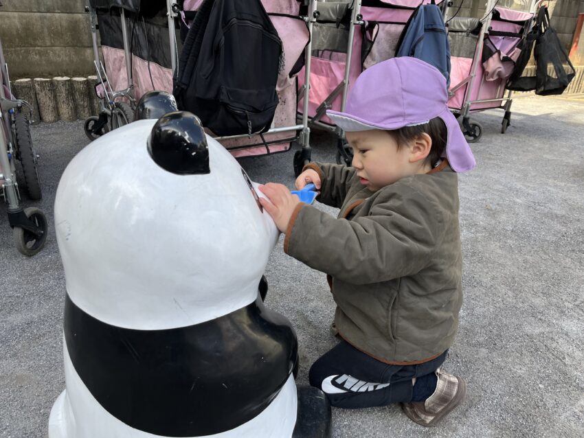 ごはんの時間ですよー🐼