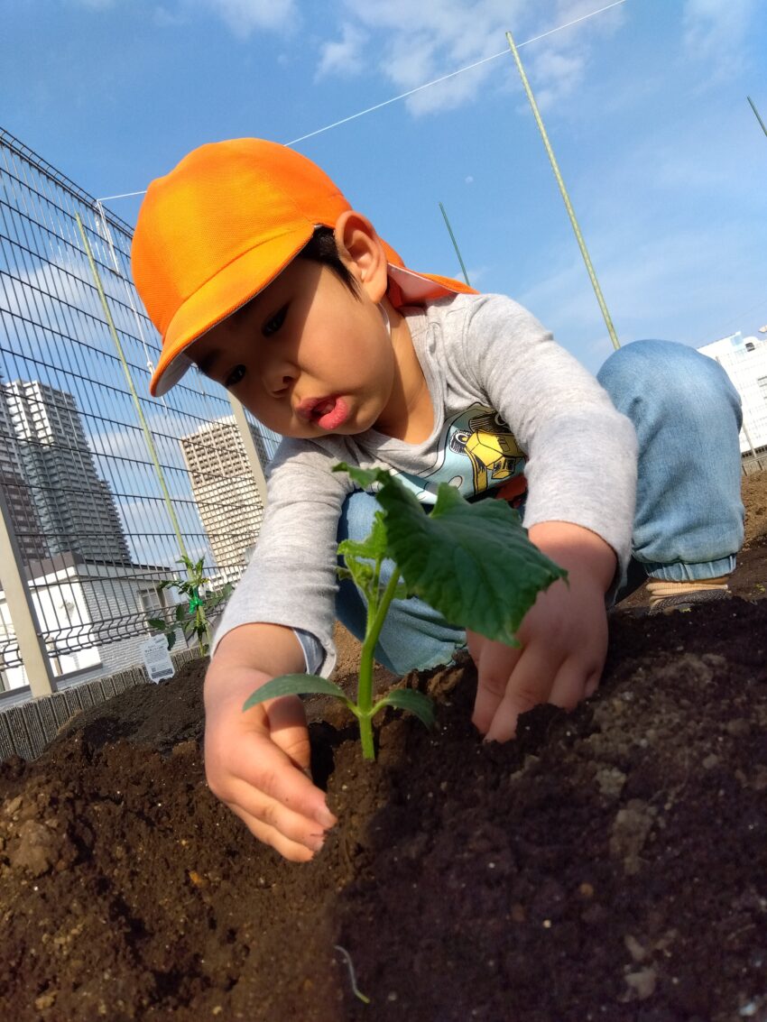 大きくなぁれ✫