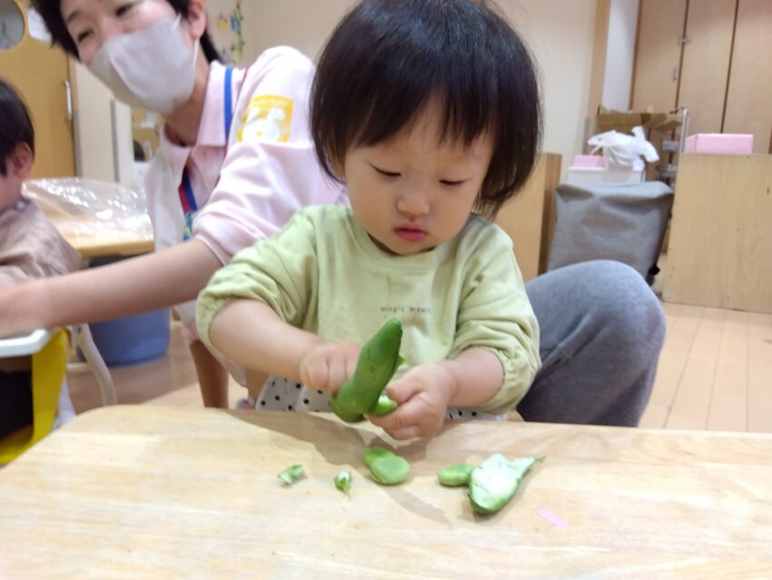 お豆が出てきたよ❣