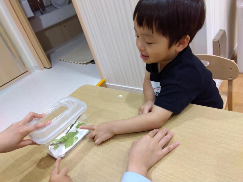 興味深々です😄<br />
保育士と一緒に生き物の飼育を楽しみます🌸