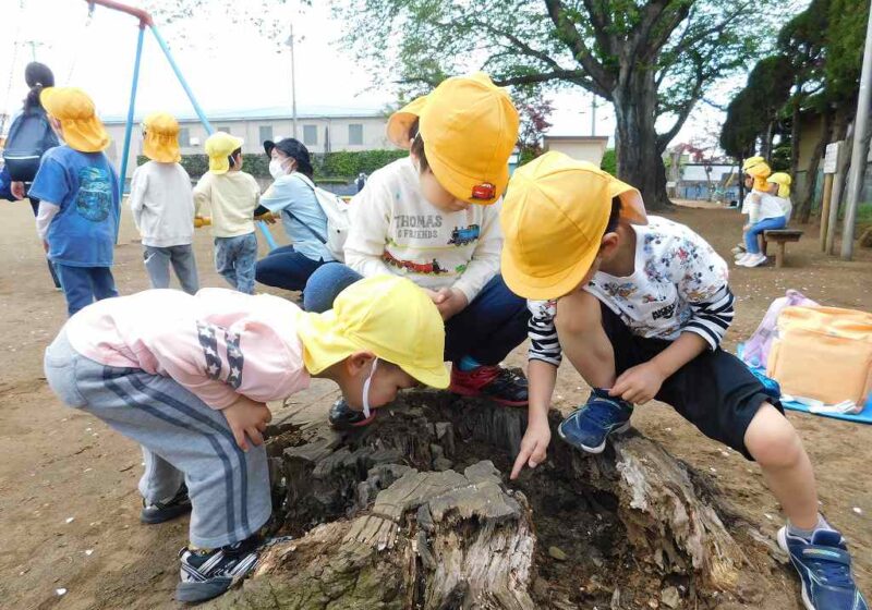 何かいるよ！4・5歳児