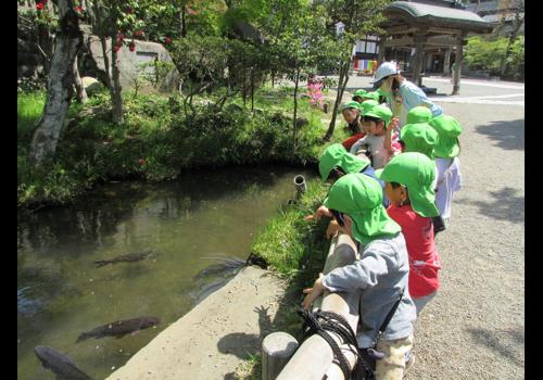 観光名所の深大寺にもお散歩に出かけ、地域との繋がりも大切にしています。<br />
初詣や、だるま市、境内への放水訓練も見学し深大寺地域ならではの活動も取り入れています。