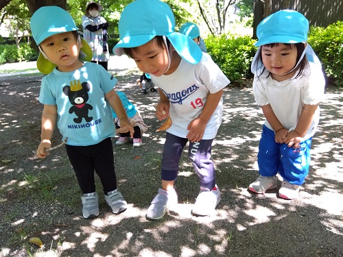 お友達と虫探しもして、子どもたちは生き物に興味津々です👀<br />
晴れた日は戸外を楽しみます🤩