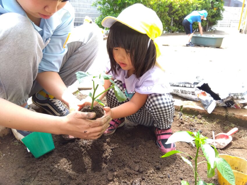 土作りが終わると「オクラ、トマト、キュウリ、ピーマン、パプリカ」の中から自分で選んだ苗を植えました。<br />
