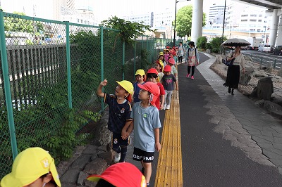 保育園から歩いて菖蒲の花が咲いている公園までお散歩しました。