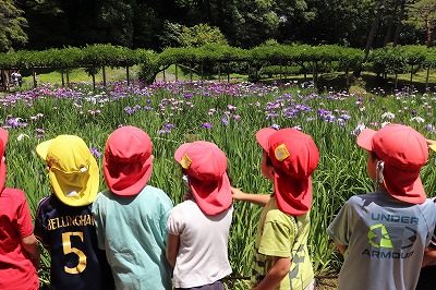 五感教育と保育を取り入れているので、子どもたちは自分たちで細かな部分までよく観察をしています。