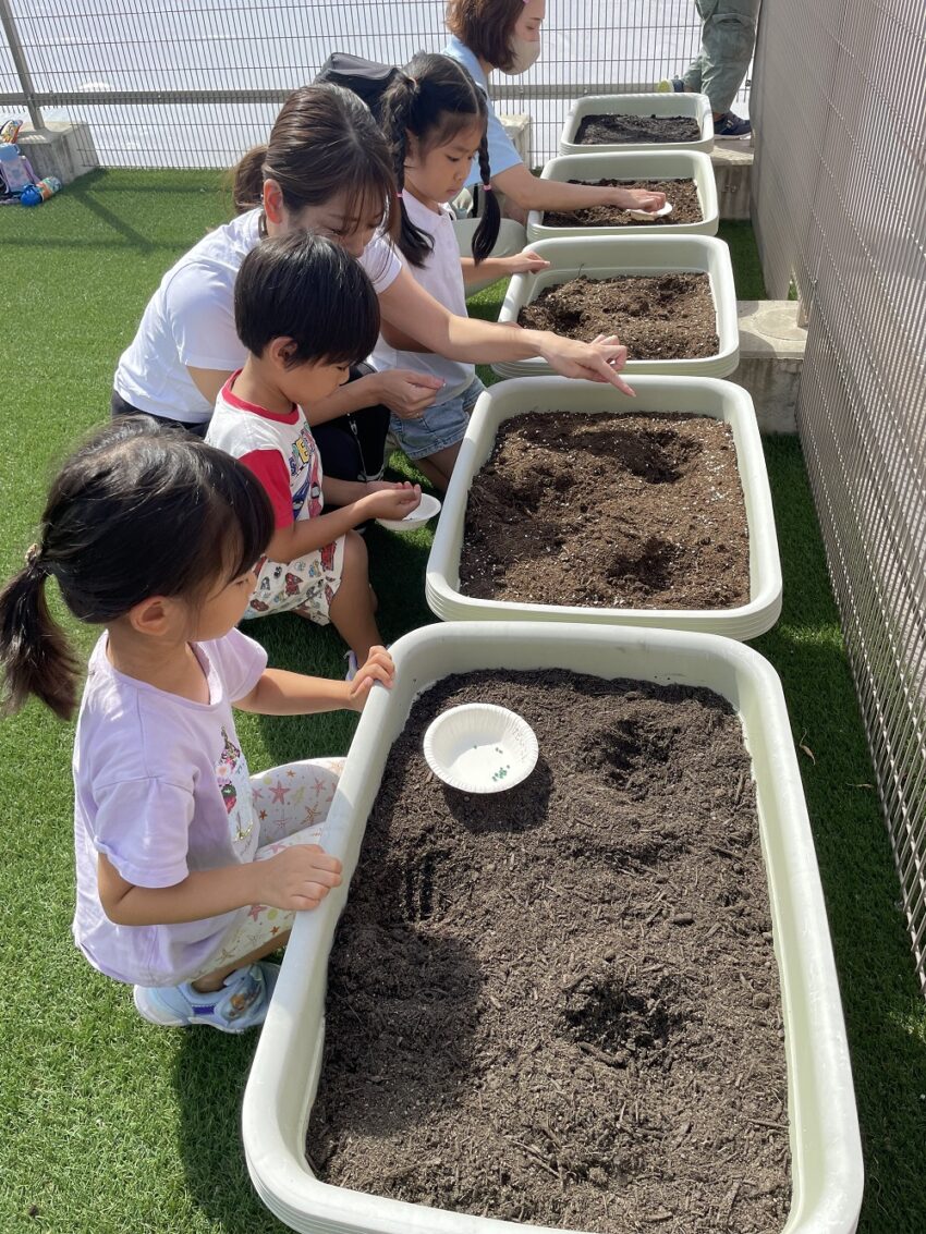 大根、人参、かぶの3種類を植えました。これから水やりを学生さんと一緒にしていきます☆彡