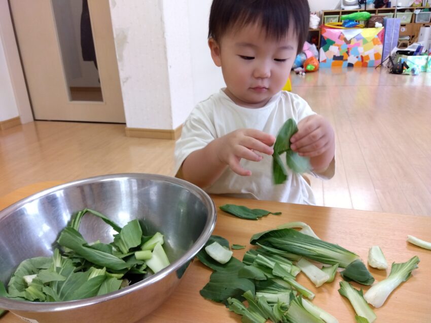 ほら見て！こんなにたくさんちぎれたよ✌<br />
みんなでちぎったものは「ちんげんさいとちくわ煮」に調理してもらい美味しく頂きました😋