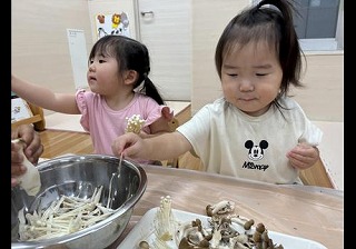 食育「きのこさき」