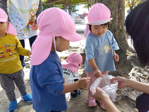 公園に行って、落ち葉拾いをしました🍁<br />
一緒に「きいろ」「あか」など、色を確認しながら拾っていきました🤭