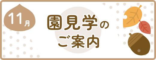 １１月園見学　※10/31現在