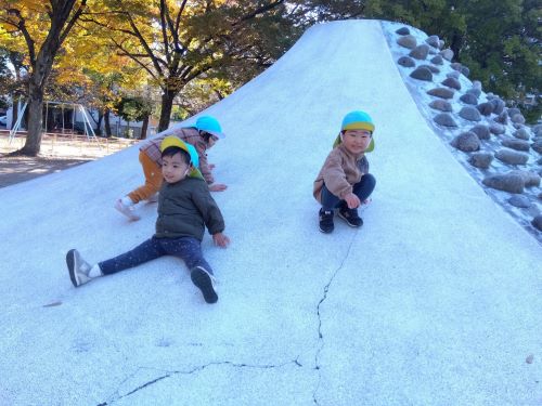 力の尽くす限り登ったら、シュルシュルシュル～♫
楽しそうにすべります✨